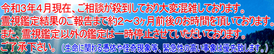 柳生 忠司 評判